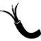 کابل